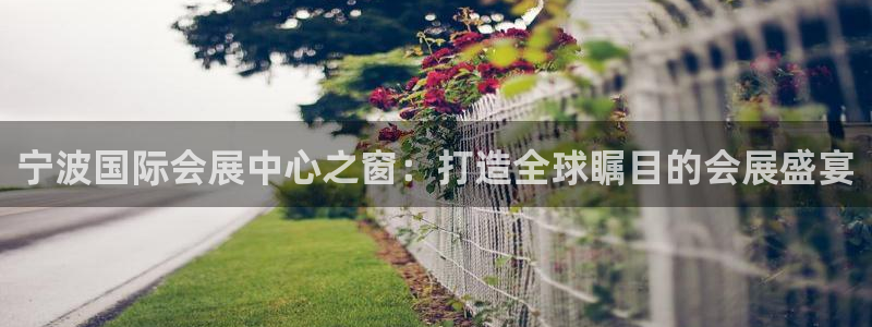 果博平台电话：宁波国际会展中心之窗：打造全球瞩目的会展盛宴