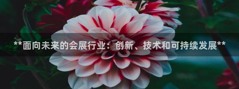 果博代理怎么注册：**面向未来的会展行业：创新、技术和可持续发展**