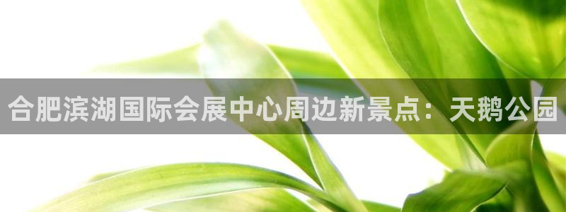 果博注册客服电话是多少号码：合肥滨湖国际会展中心周边新景点：天鹅公园