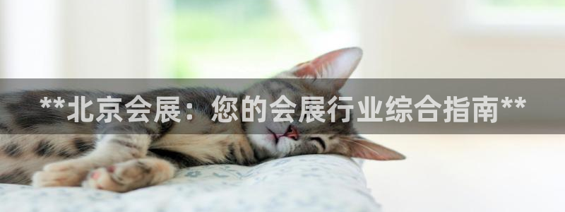 果博公司客服微信：**北京会展：您的会展行业综合指南**