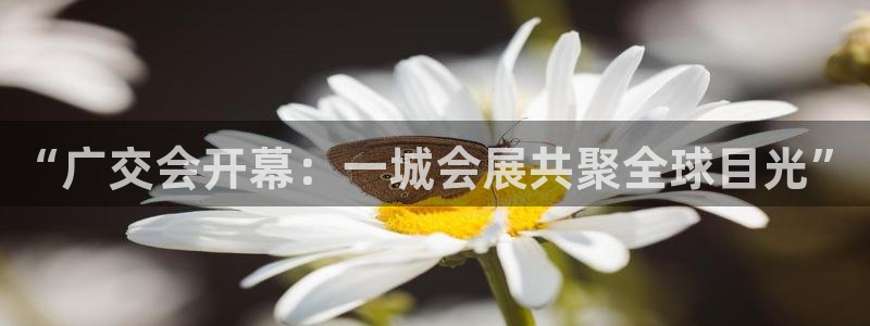 果博官网客服电话号码是多少：“广交会开幕：一城会展共聚全球目光”