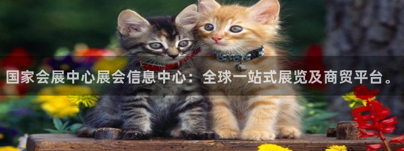 果博注册平台怎么注册：国家会展中心展会信息中心：全球一站式展览及商贸平台。