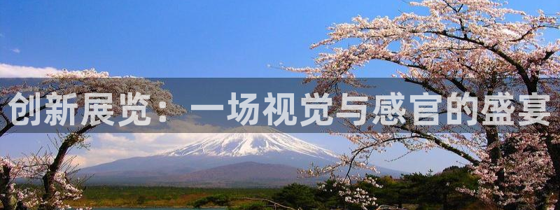 果博公司客服微信公众号：创新展览：一场视觉与感官的