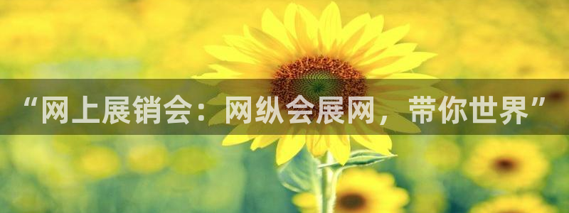 果博公司会员怎么开户：“网上展销会：网纵会展网，带你世界”
