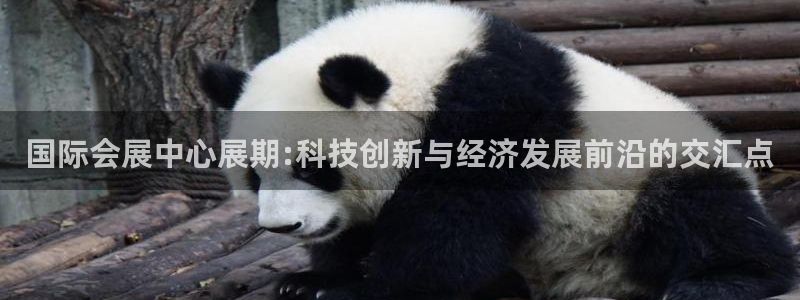 果博注册平台怎么注册：国际会展中心展期:科技创新与经济发展前沿的交汇点