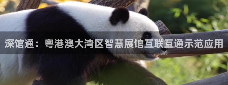 果博gbe168：深馆通：粤港澳大湾区智慧展馆互联