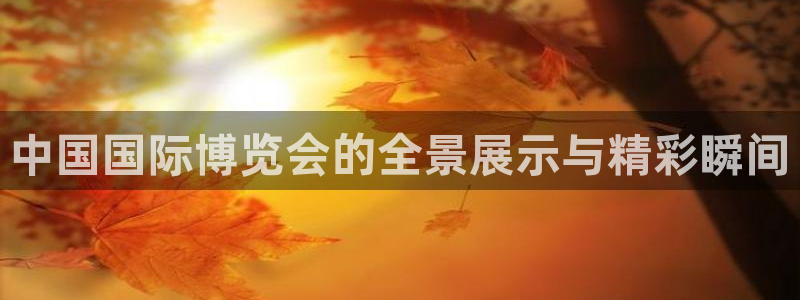 果博公司注册：中国国际博览会的全景展示与精彩瞬间