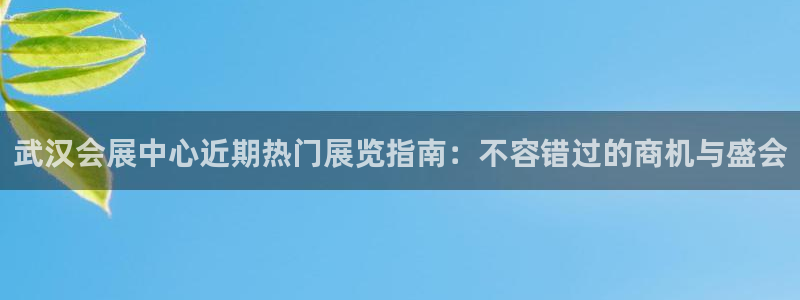 果博gbe168：武汉会展中心近期热门展览指南：不容错过的商机与盛会