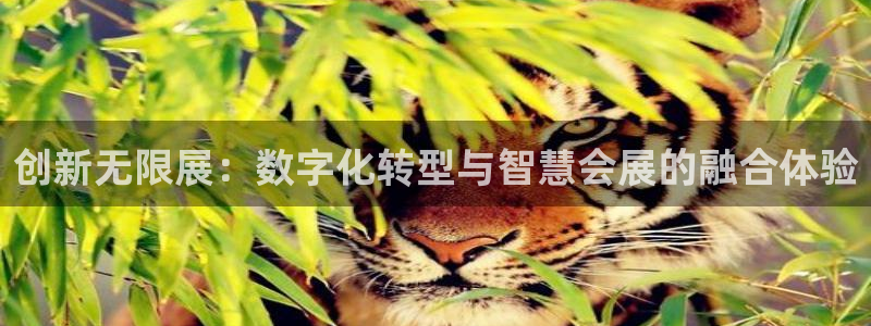 手机怎样下载果博