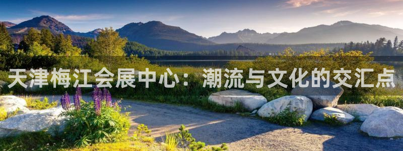 果博公司会员账号开户：天津梅江会展中心：潮流与文化的交汇点
