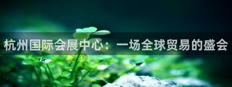 果博公司开户注册：杭州国际会展中心：一场全球贸易的盛会