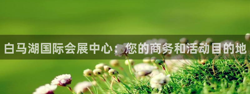 果博公司客服电话多少：白马湖国际会展中心